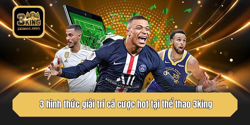 3 hình thức giải trí cá cược hot tại thể thao 3king